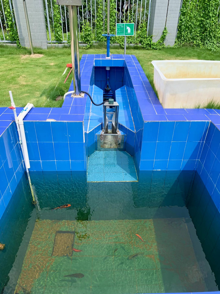 What role does the activated carbon water purifier play in the whole-house water purification systemг┐(图1)